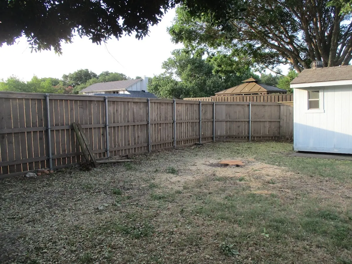 Cleared yard after professional tree removal in Portsmouth